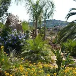 Turismo Rurale מלון צ'פאלו